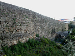 One section of the castle's wall.