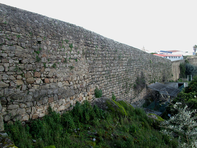 One section of the castle's wall.