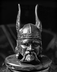 Rover Viking