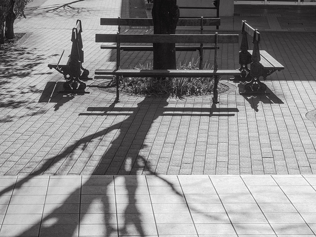 Empty benches