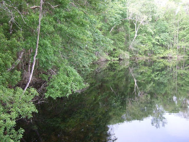 Wakulla Springs