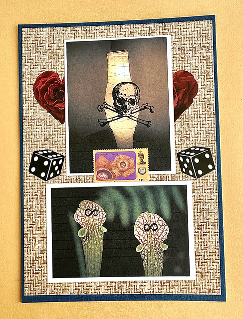 Mail Art Collage