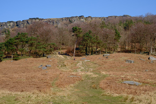 Stanage Plantation