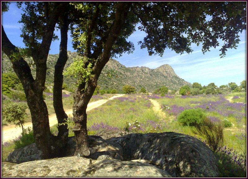 Pico de La Miel