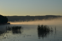Утро на Бакотском заливе, Туман над водой / Morning at the Bay of Bakota, Fog over the Water