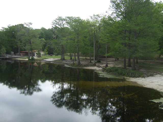 Wakulla Springs