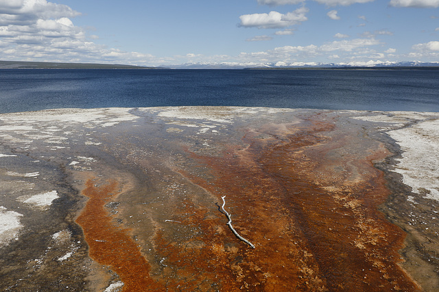 West Thumb Geyser Basin