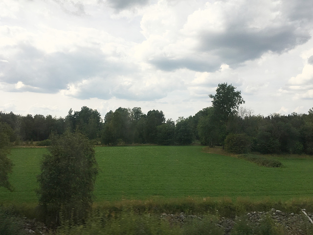 -landschaft 2645