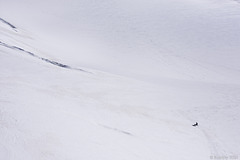 in den Schneefeldern beim Jungfraujoch (© Buelipix)