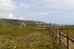 Cabo da Roca, Portugal HFF