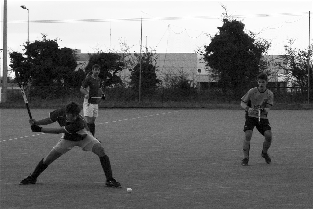 Fingal vs Monkstown 2, 080315