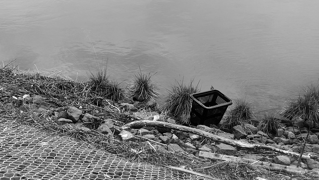 Supermarket Basket in the Dock