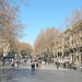 La Rambla (© Buelipix)