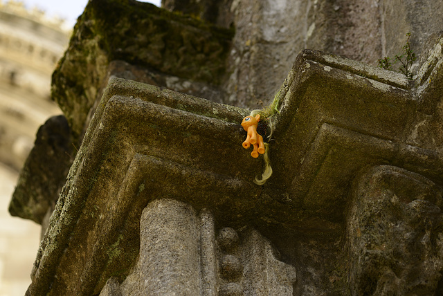 Guimarães  DSC7536