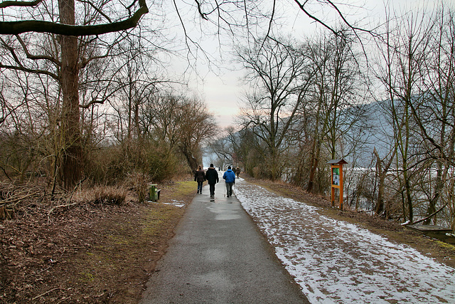 Weg am Ufer des Hensgteysees (Hagen) / 3.03.2018