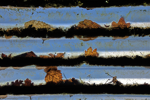 More Muck And Leaves On Corrugated Roof