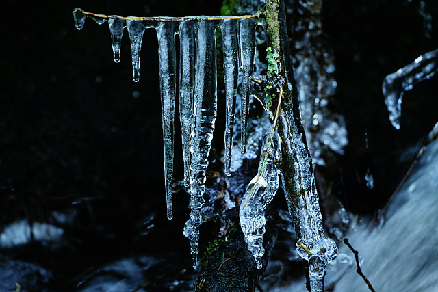 Eiszeit. Und was kryptogames.