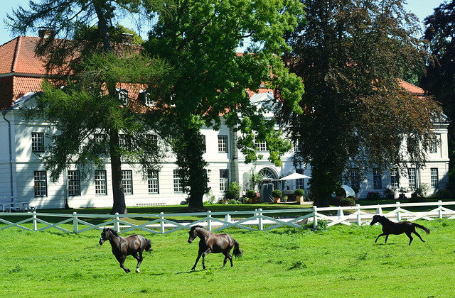 HFF:  Das Torhaus des Gutshofes  Panker