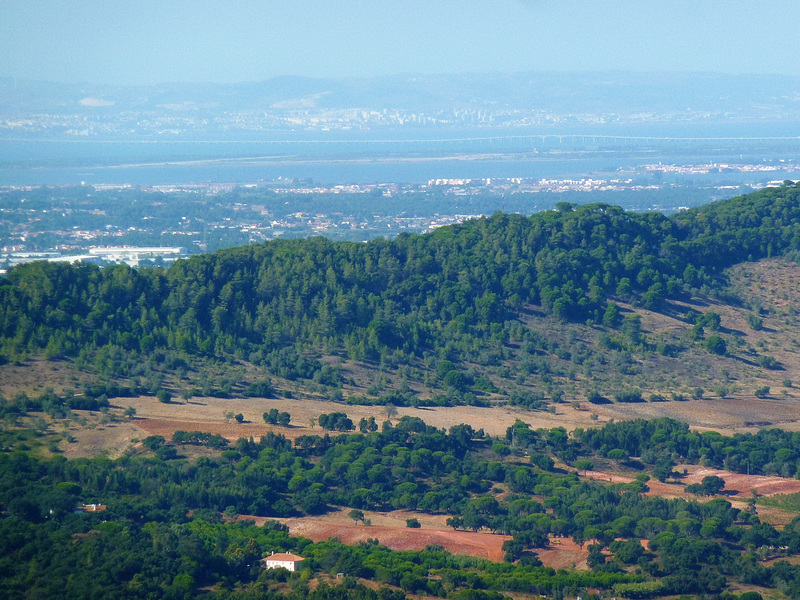 Ponte Vasco da Gama