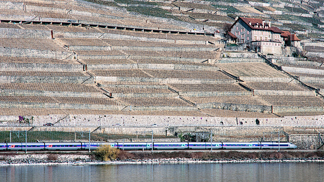 A040403 Lavaux TGV des neige 1