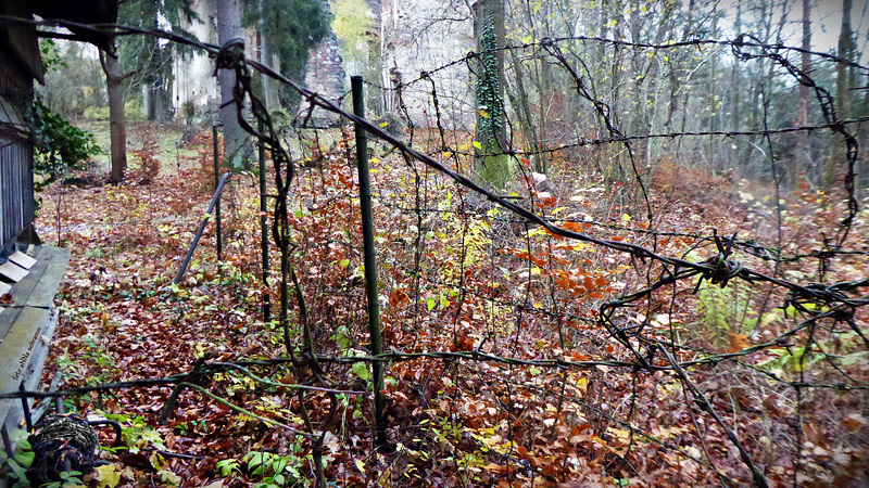 Wald-Zaun am Bienen-Haus