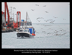 Bounty Hunter & gulls head into Newhaven - 19.10.2015