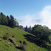 Herbstliches Sonnenbad am Bürgenstock auf 1100 m.ü.M.