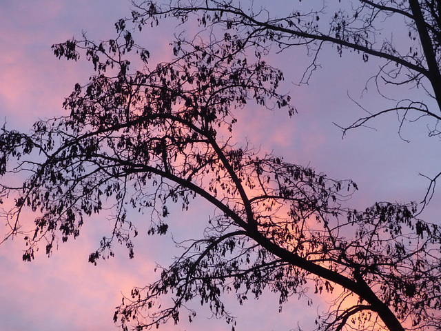 Atardecer en un parque de Santiago