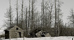 Near Grande Prairie, Alberta