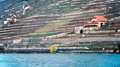 A040403 Lavaux TGV des neige 0