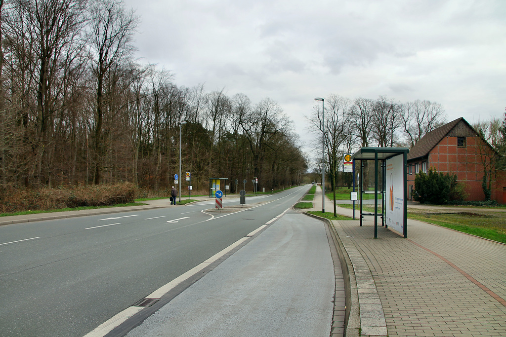 Brunnenstraße (Lünen-Lippholthausen) / 16.03.2019
