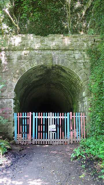 Tintern Tunnel