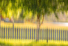 ICM- Fence