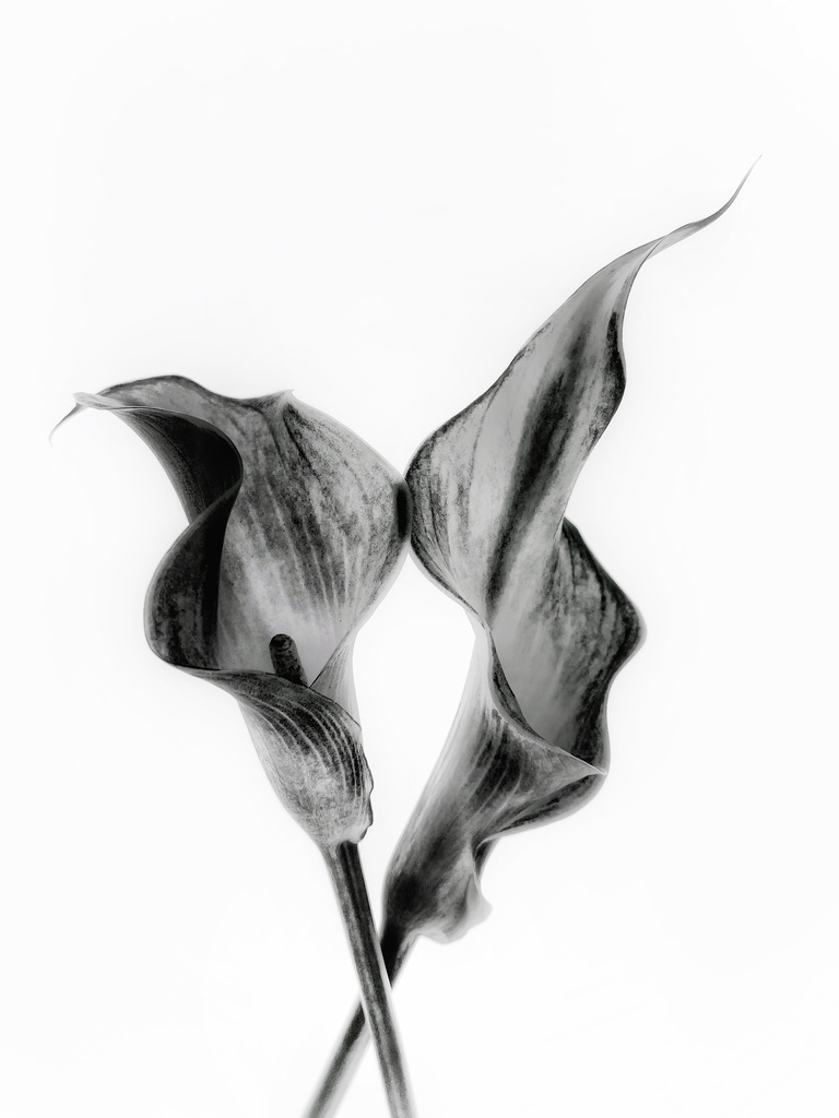 c7b