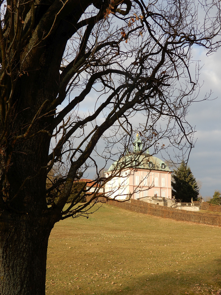 Blick zum Fasanenschlösschen