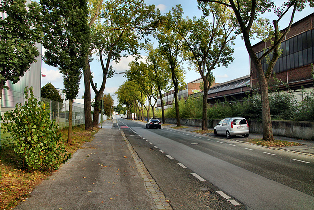 Hochkampstraße (Gelsenkirchen-Schalke) / 30.09.2023