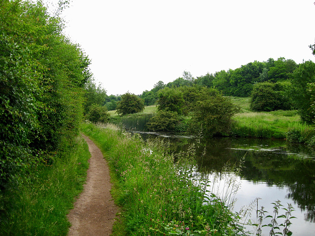 Staffordshire and Worcestershire Canal near Compton