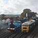 On Shed at Ropley (2) - 15 October 2019