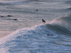 Surfeando