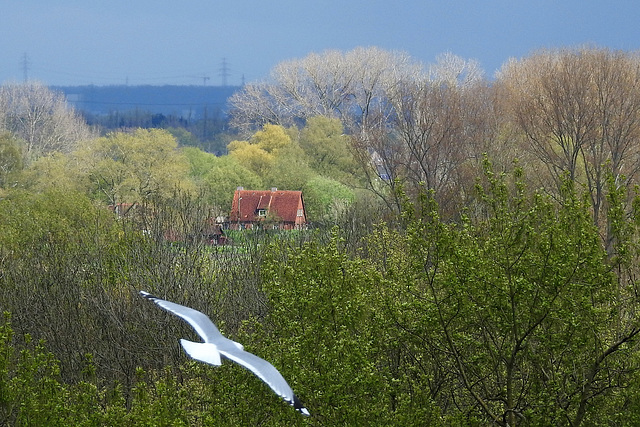 Haus am Einlagedeich