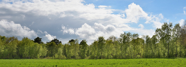 Frühlicht