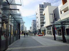 Bordeaux quartier "Ginko"