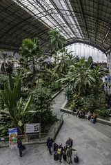 Estación de tren Madrid - Jardín tropical de Atocha (© Buelipix)
