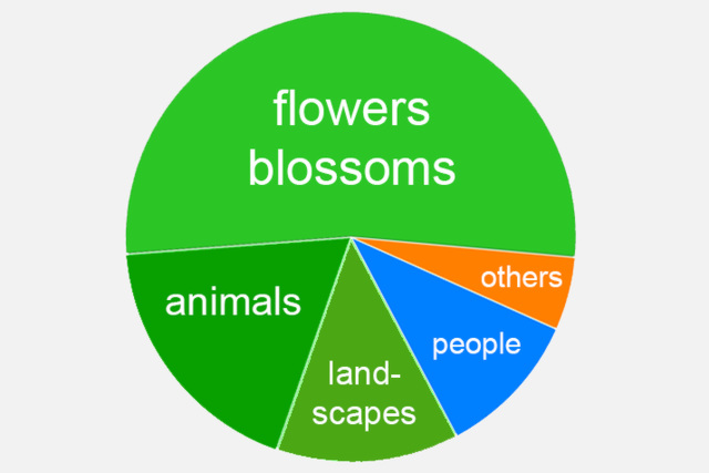 Spring motifs on our homepage (April 1, 2024)