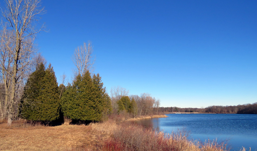 No ice in January