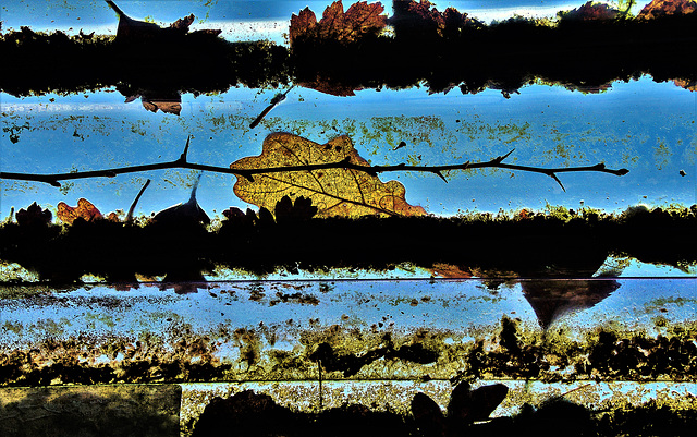 More Muck And Leaves On Corrugated Roof