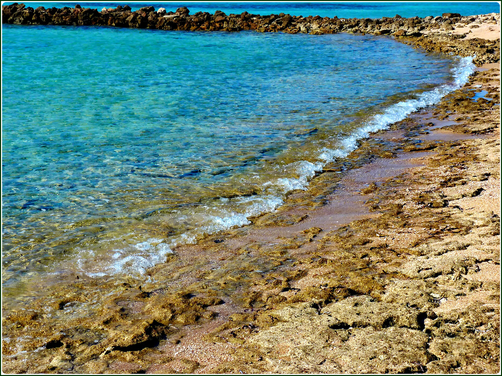 Sharm el Sheikh : Ras Mohammed - La barriera corallina