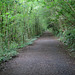 Wye Valley Greenway