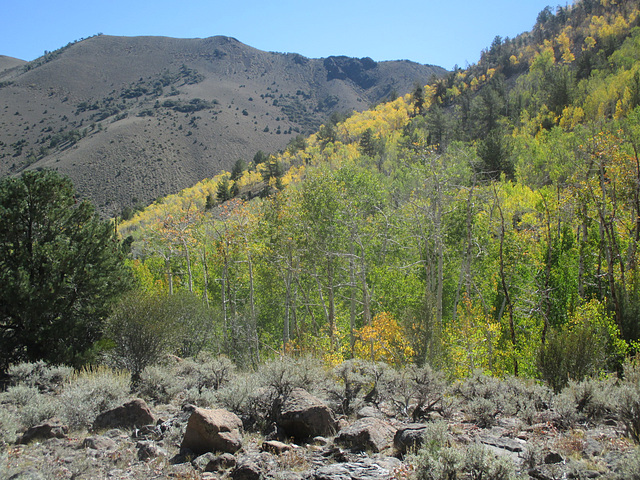 Mt-Jefferson 18