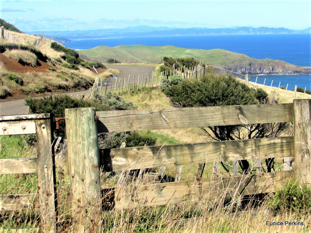 Overlooking The Tasman Sea.